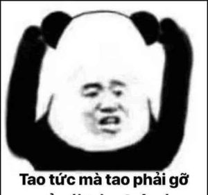 Hơn 189+ Meme Gấu Trúc Đáng Yêu: Cười Thả Ga Với Khoảnh Khắc “Tấu Hài”