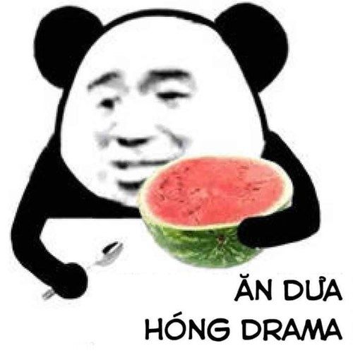 Gấu Trúc Meme 13