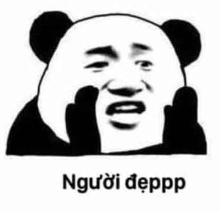 Meme Gấu Trúc 11