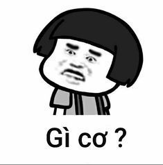 Gấu Trúc Meme 10