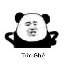 Meme Gấu Trúc 6