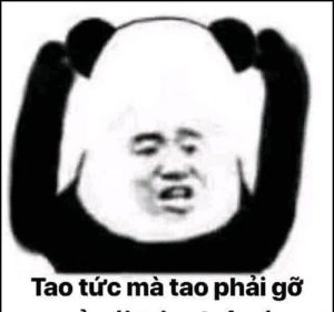 189+ Gấu Trúc Meme Hài Hước Khiến Bạn Cười Không Ngớt