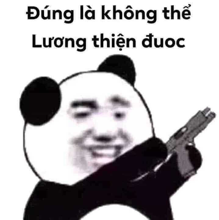 Meme Gấu Trúc 9