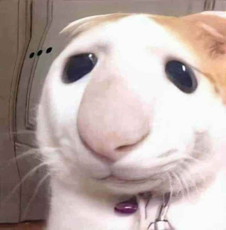 Meme hài bựa 16