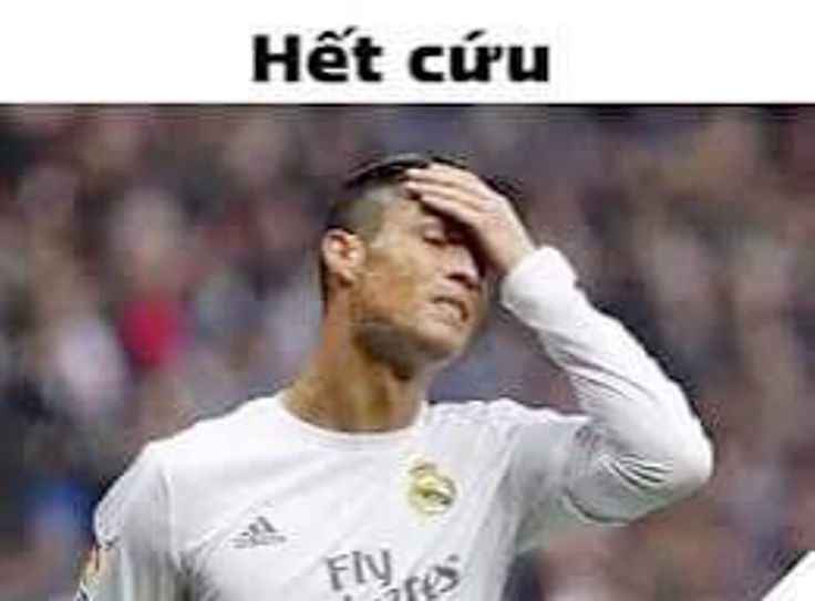 Hết Cứu 10