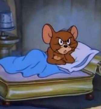 Meme Jerry 5