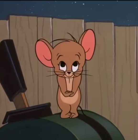 Meme Jerry 15
