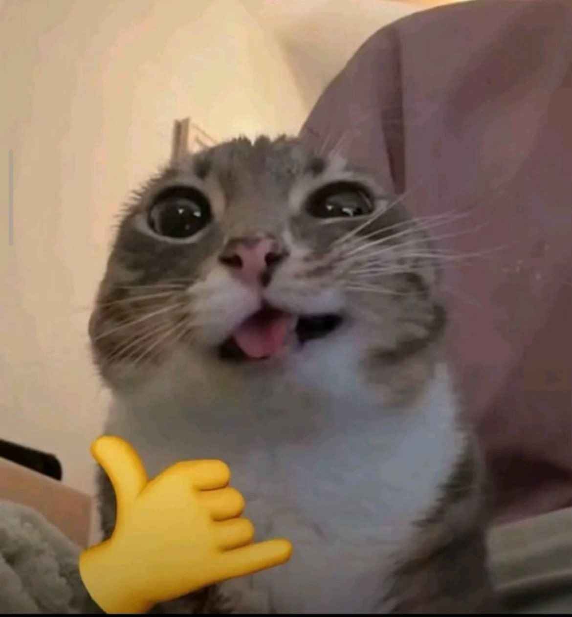 Meme like 12
