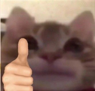 Meme like 15