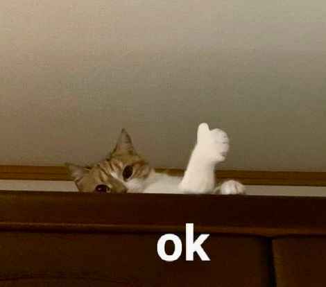 Meme ok 5