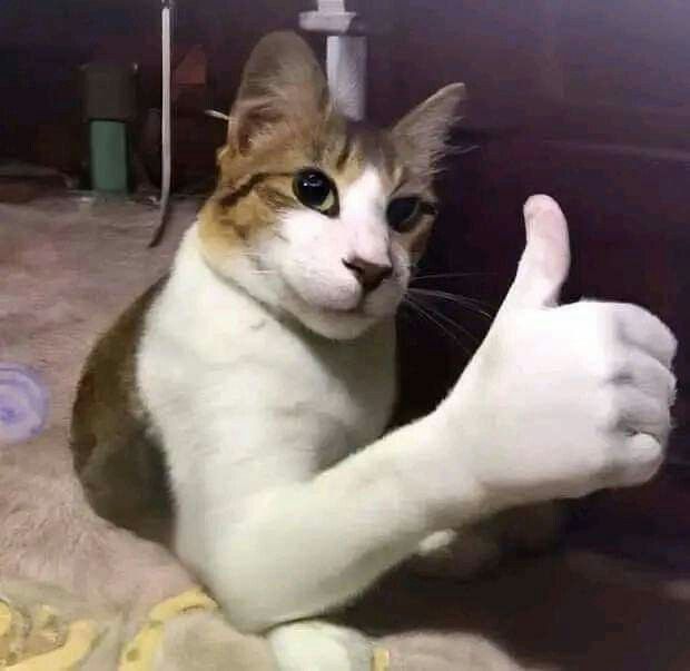 Meme ok 7