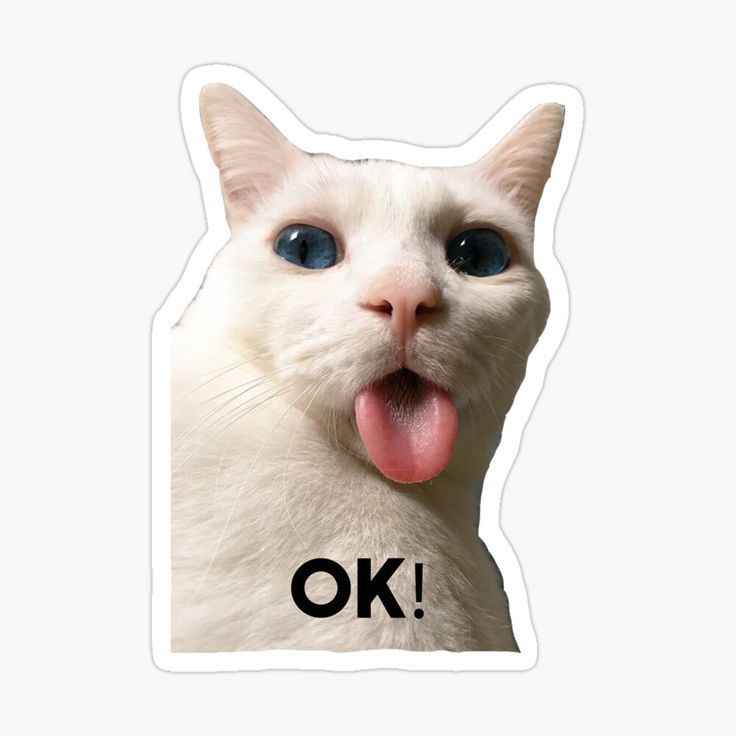Meme ok 13