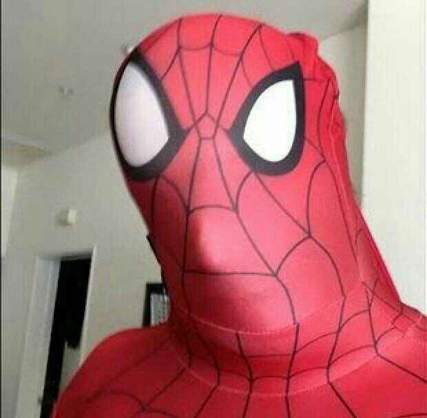 Meme Spidermen 6