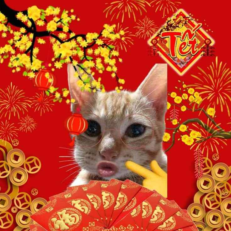 Meme Tết 2