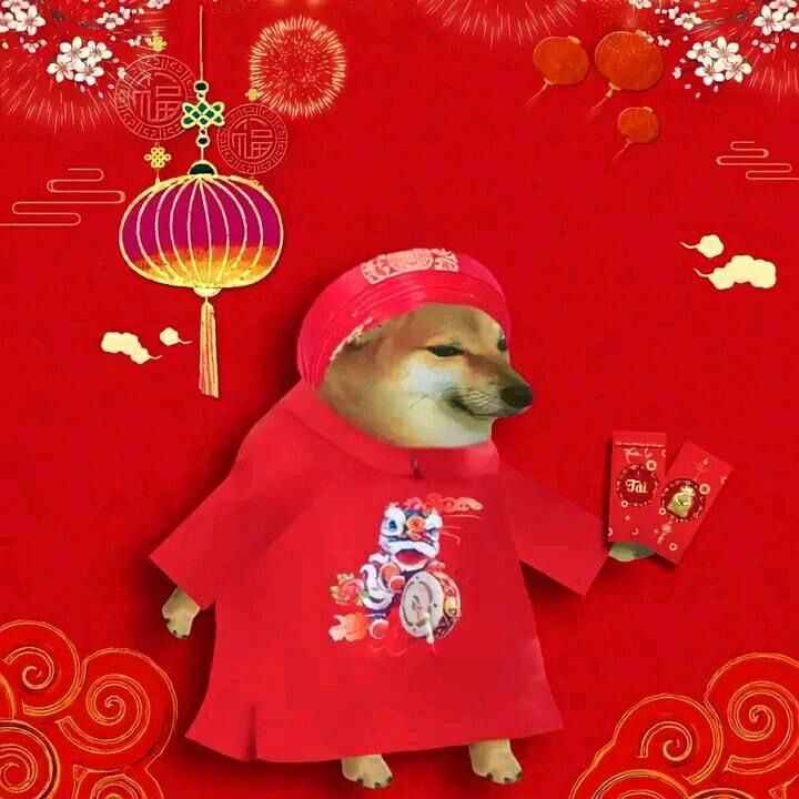 Meme Tết 9