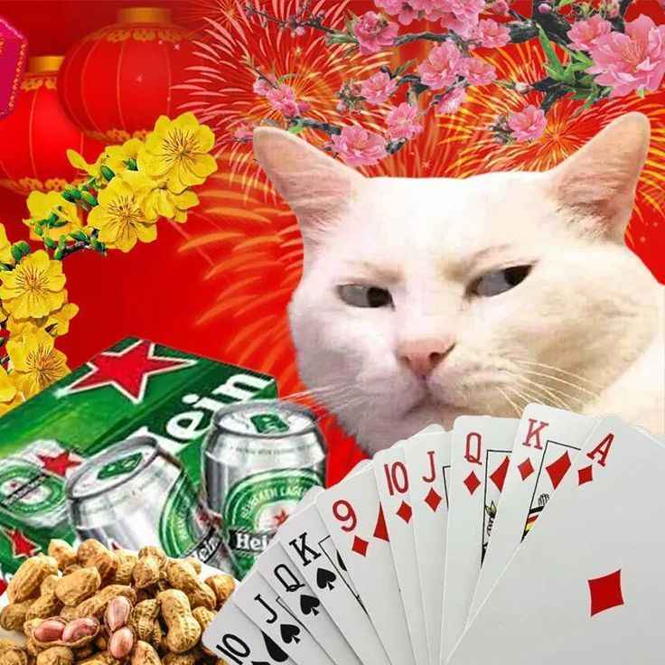 Meme Tết 13