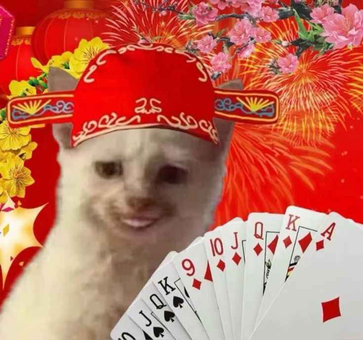 Meme Tết 14