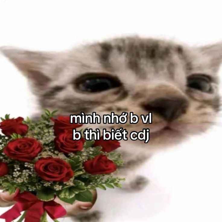 Meme tình yêu 2