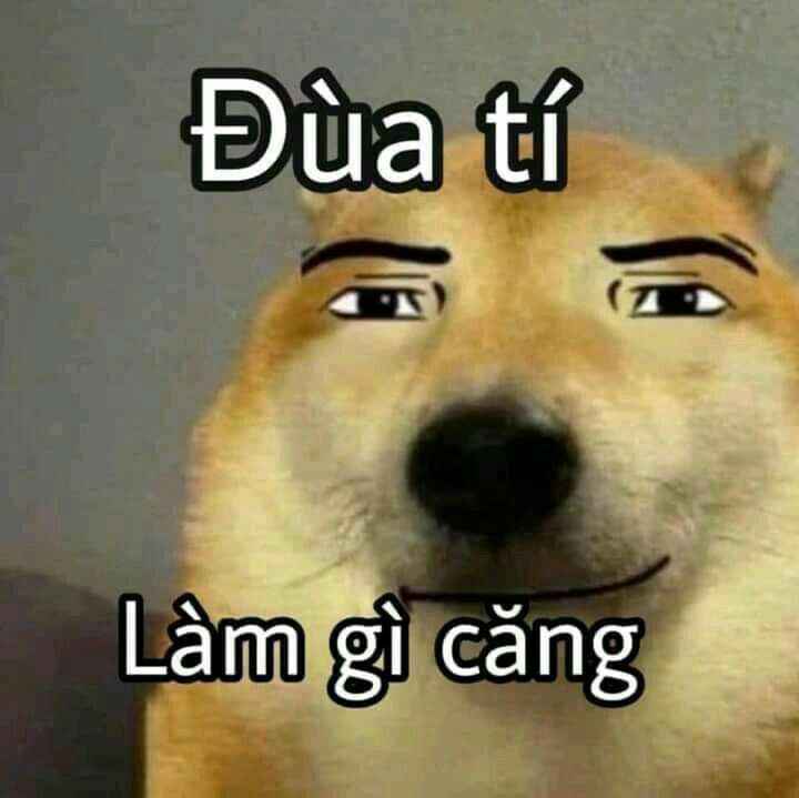 Meme vui 4