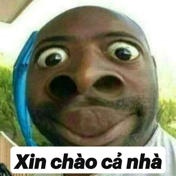 Meme vui 11