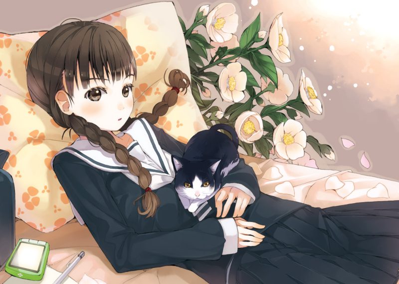mèo anime 30