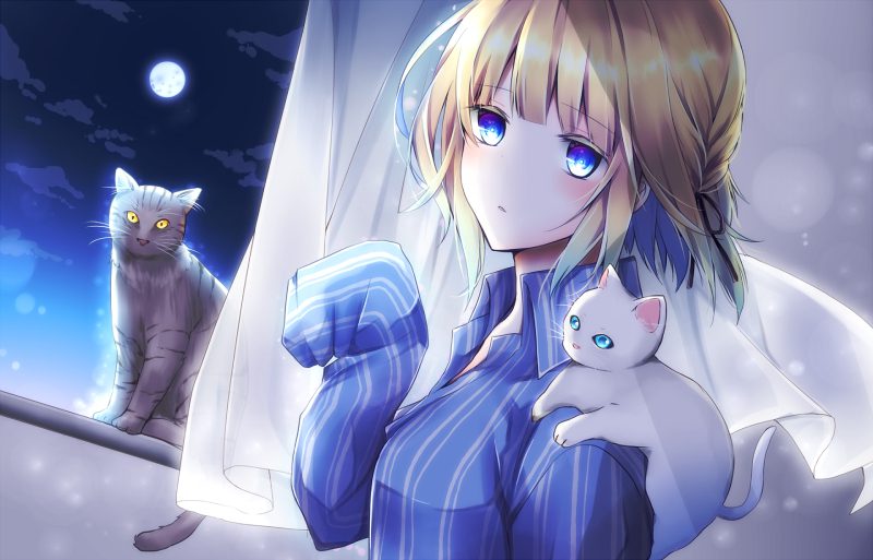 mèo anime 36