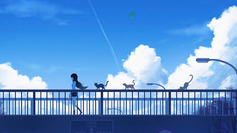 mèo anime 21