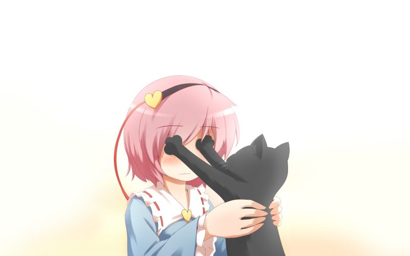 mèo anime 43