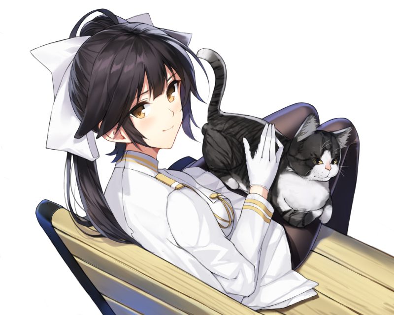 mèo anime 26