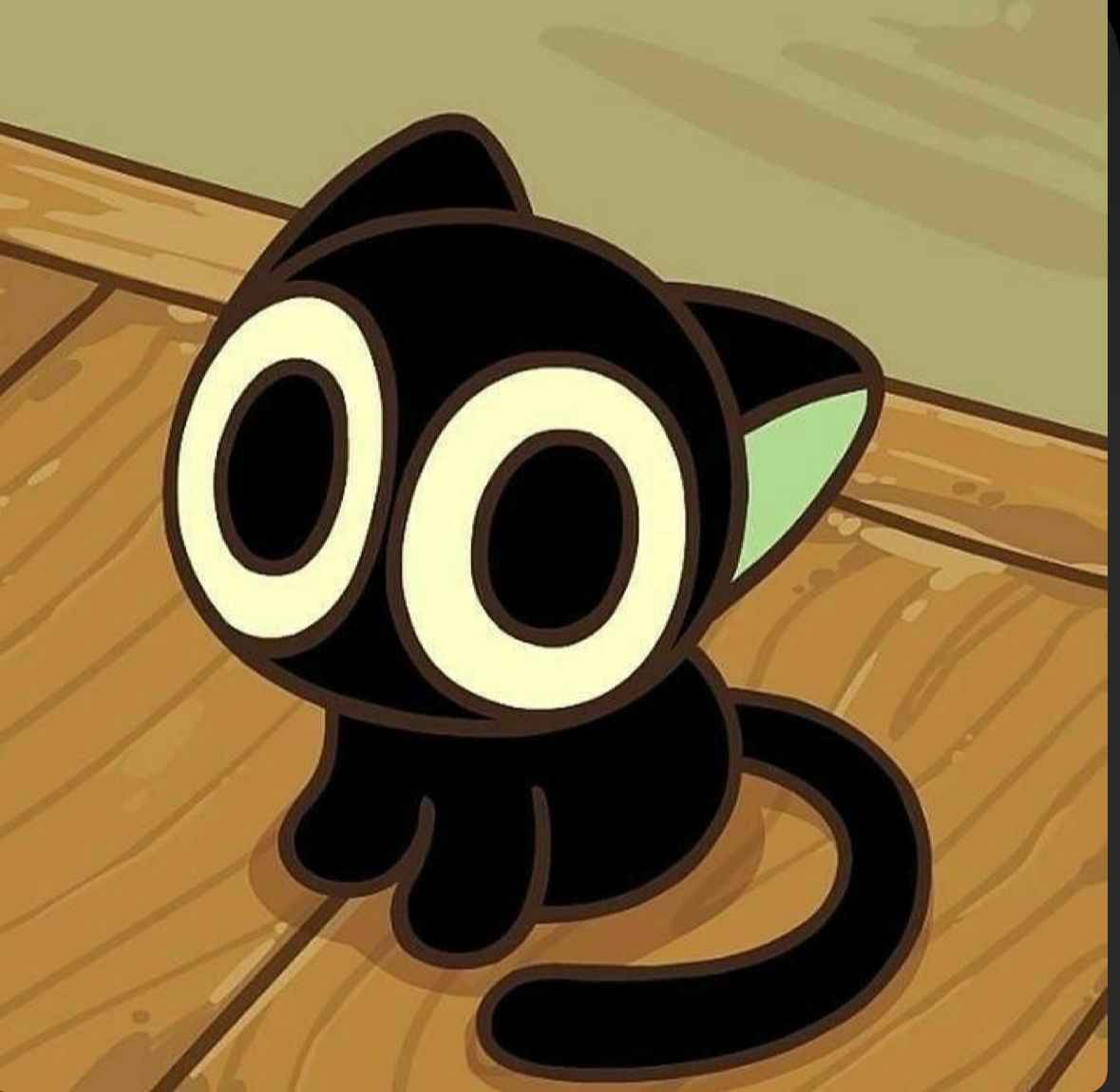 Mèo đen anime 11