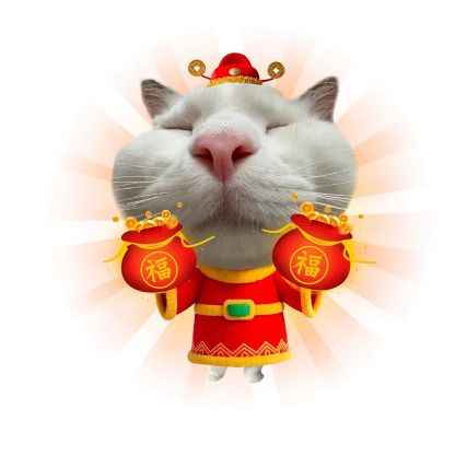 Mèo thần tài 15