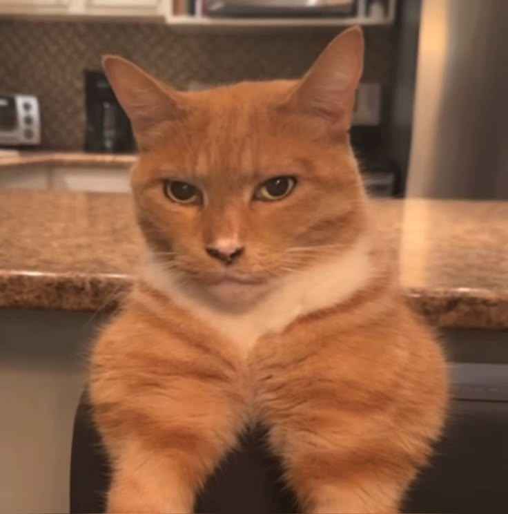 Mewing Meme 5