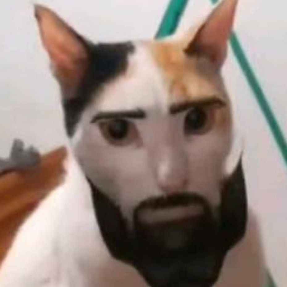 Mewing Meme 11