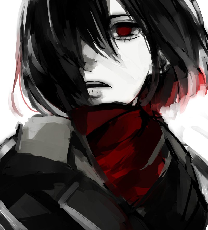 ảnh Mikasa 39