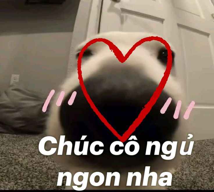 Ngủ Ngon Meme 6