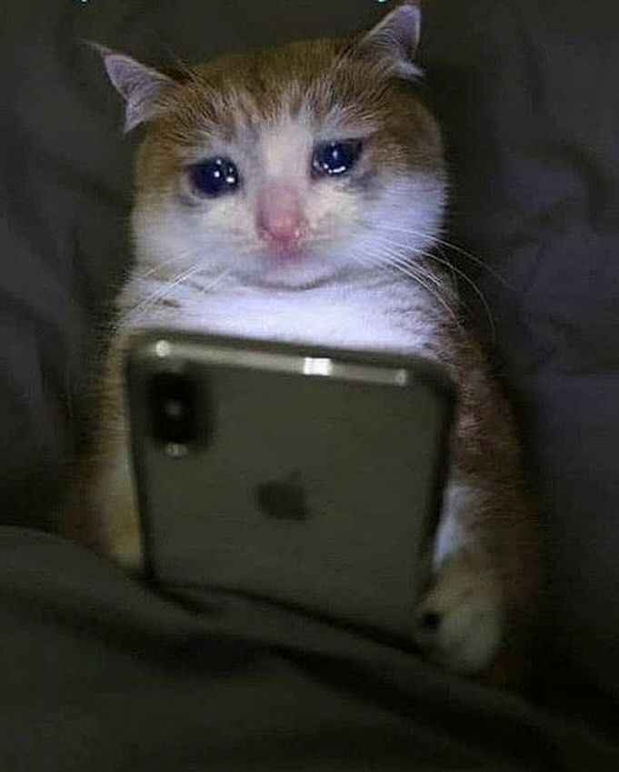 Sad meme 5