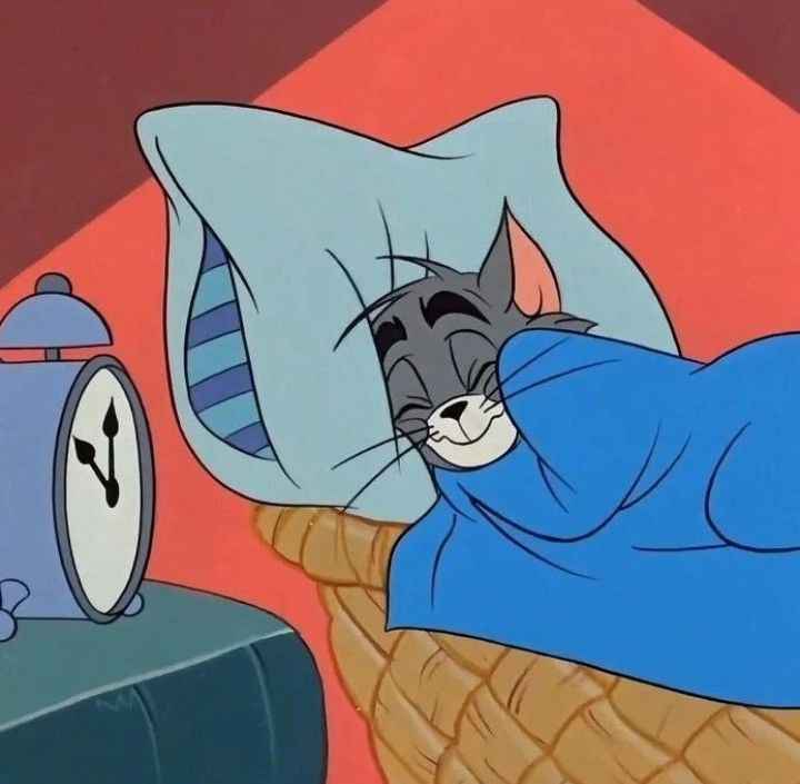 Sleep Meme 16