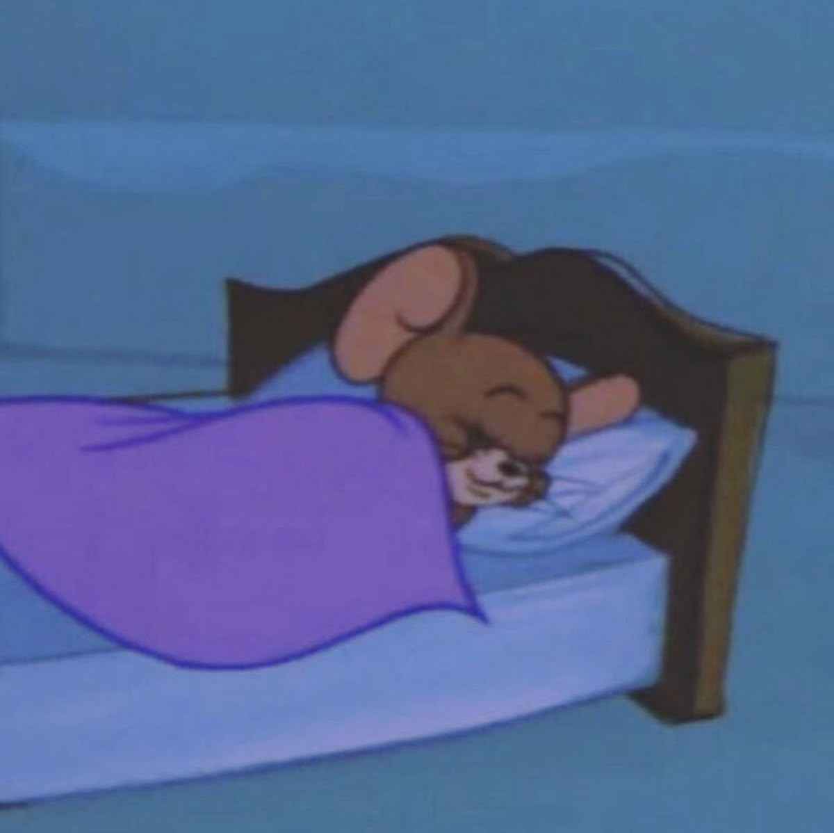 Sleep Meme 6