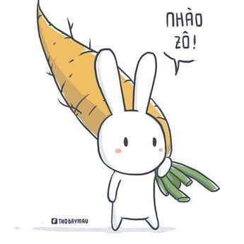 ảnh Thỏ Bảy Màu 5