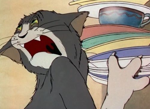 Tom Meme 17