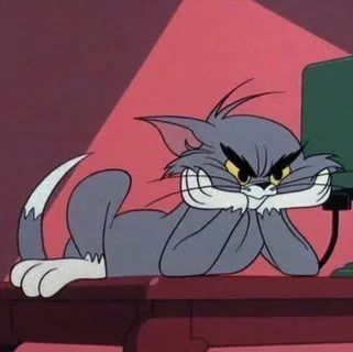 Tom Meme 26