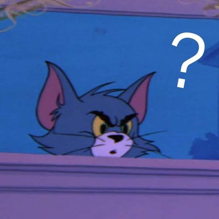 Tom Meme 13