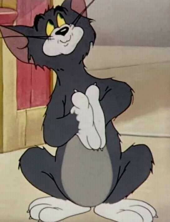 Tom Meme 21