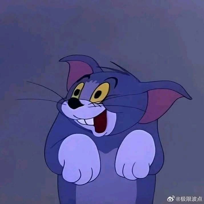 Tom Meme 16