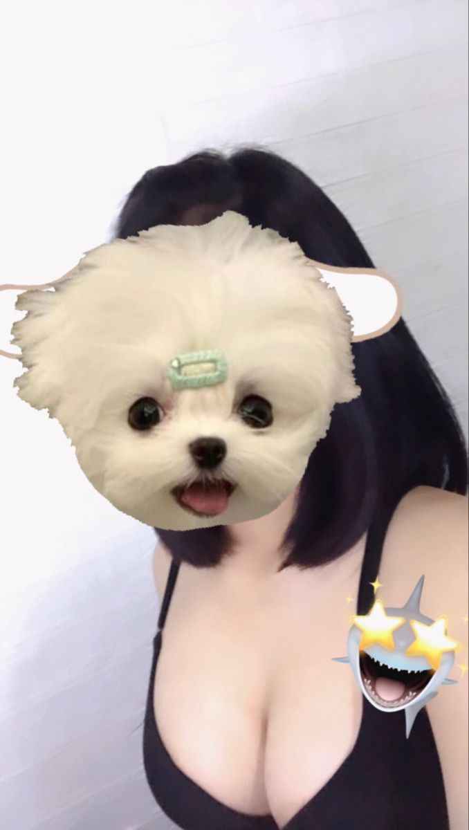 Vú Đẹp 1