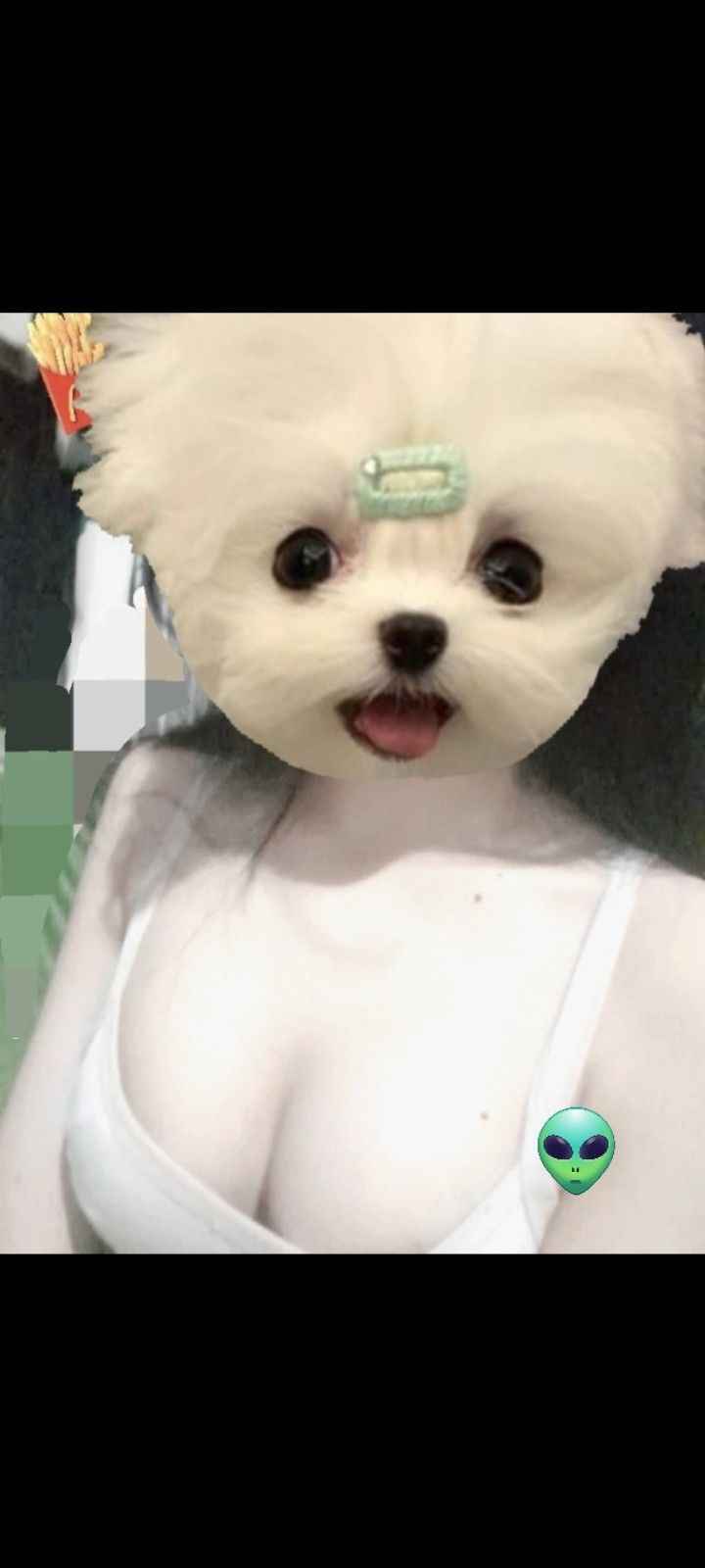 Vú Đẹp 9
