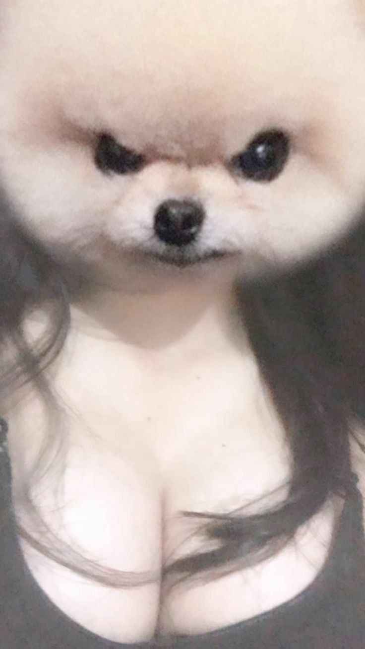Vú Đẹp 8