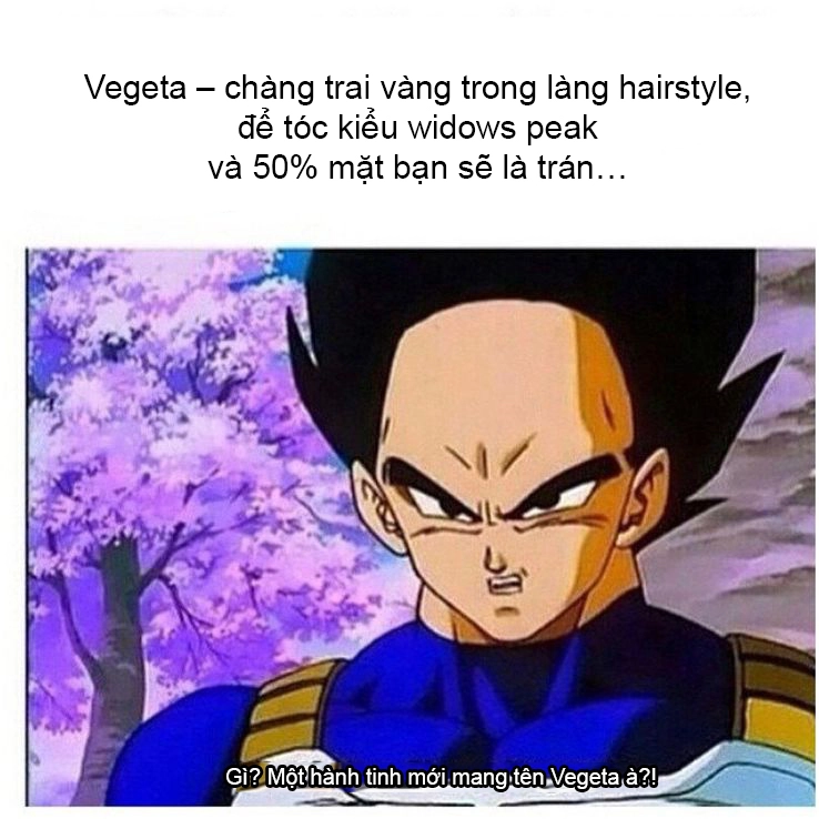 ảnh Goku meme 5