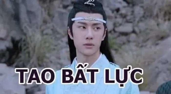 ảnh meme bất lực 1
