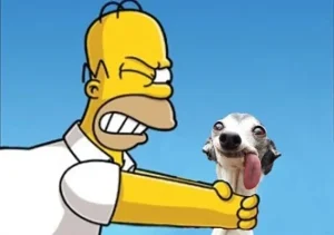 119+ Ảnh Meme Bóp Cổ Hài Hước Khiến Bạn Cười Không Ngớt